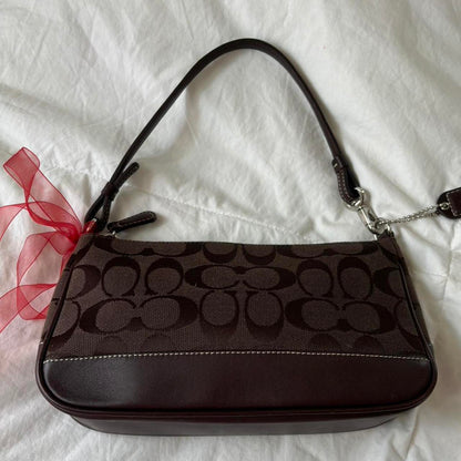 Coach Brown Demi Bag🪻🍃