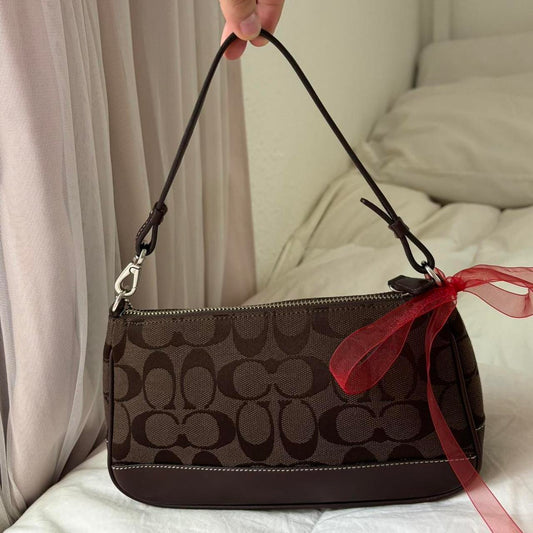 Coach Brown Demi Bag🪻🍃