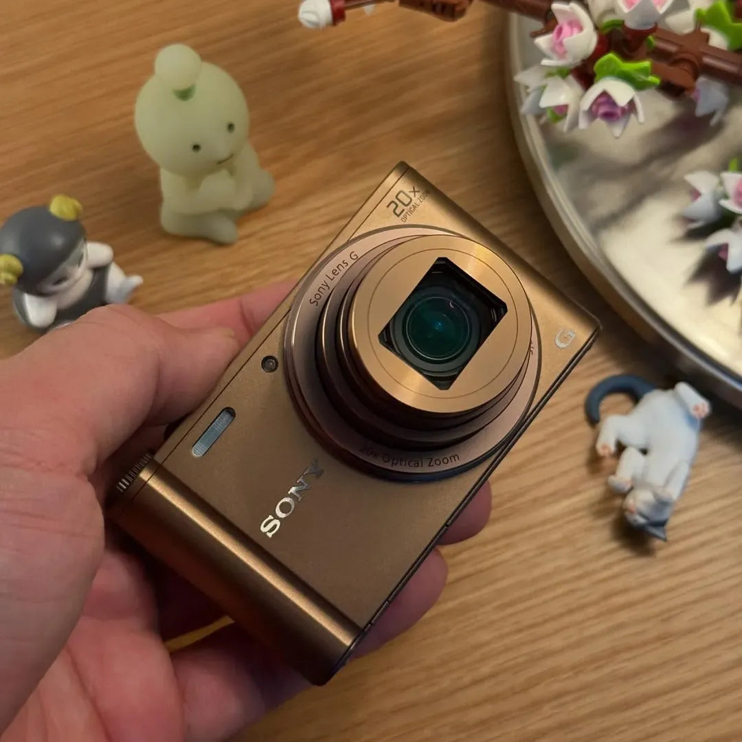 ✨ Authentic Sony cybershot dsc wx300 PreOwned 💖